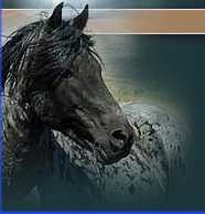 Passions Ignite